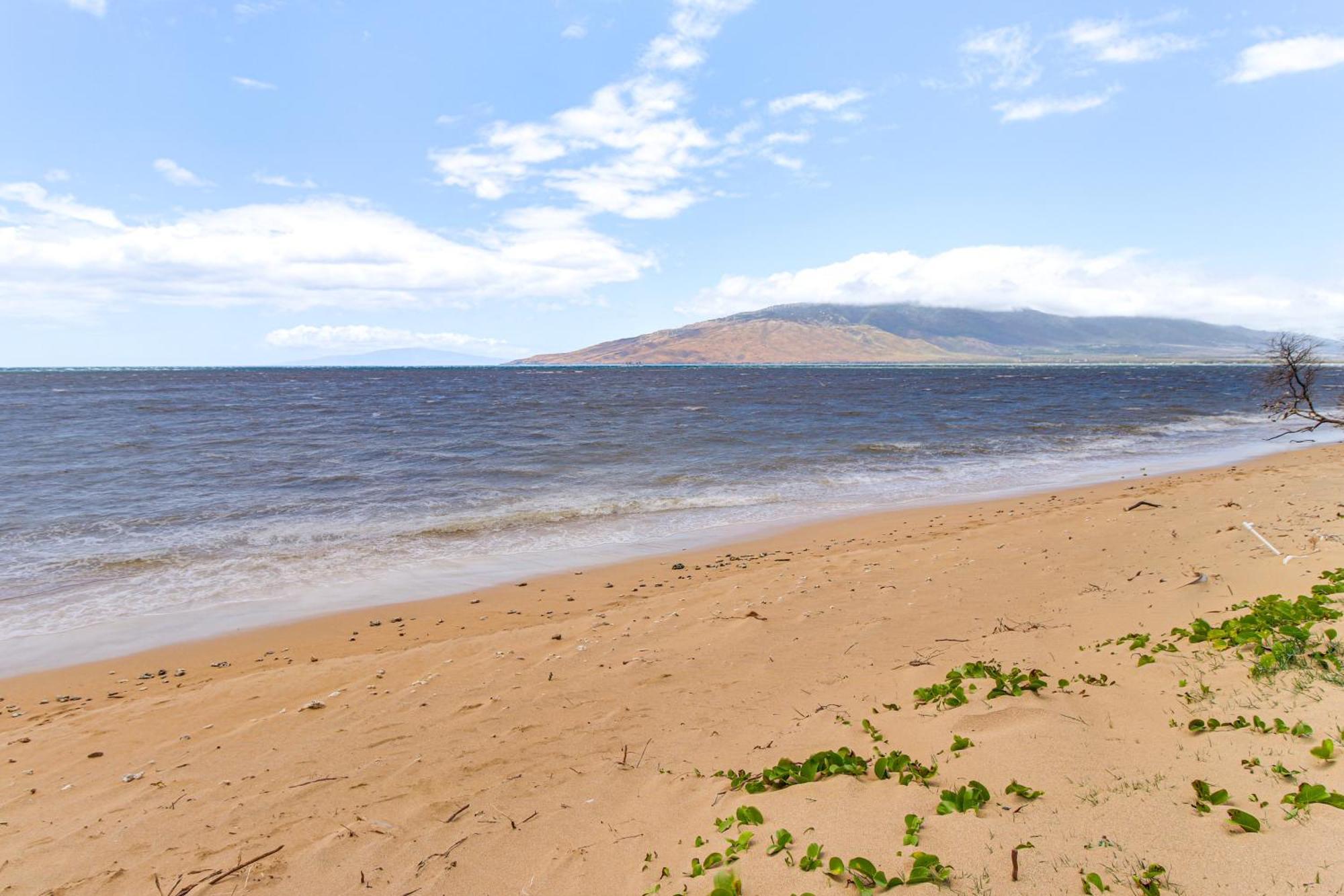 Gorgeous Oceanfront Condo With Spectacular Views! Kihei Exterior foto